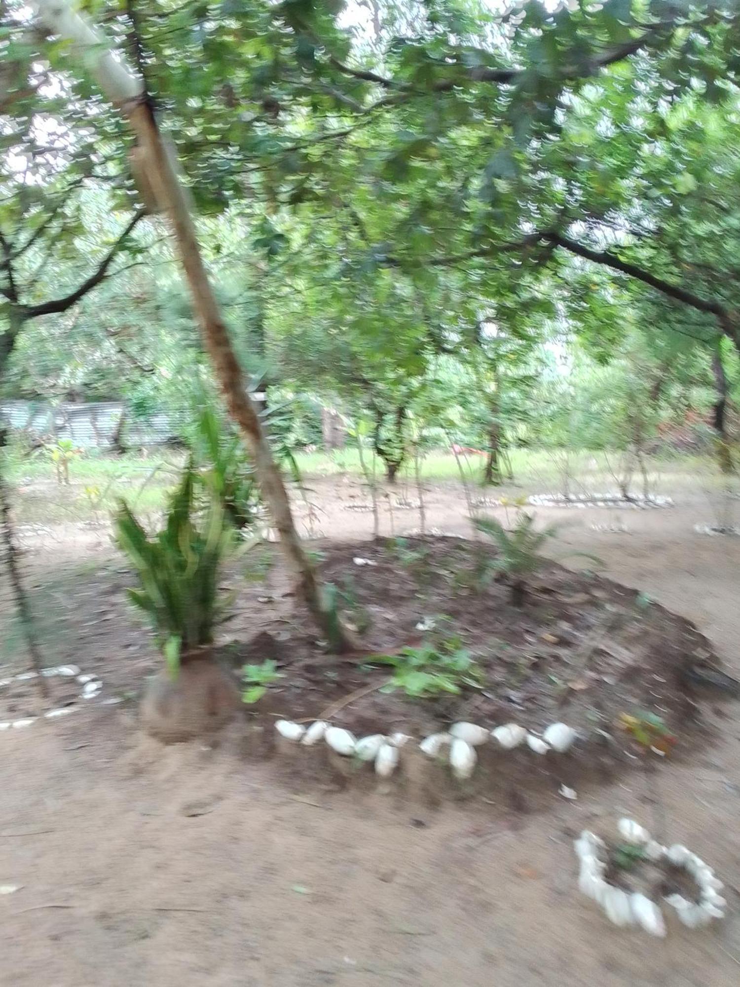 Little Baobab Panzió Abémé Kültér fotó